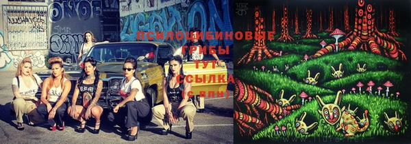 экстази Каменка
