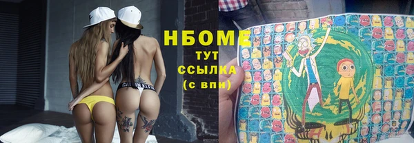 ГАЛЛЮЦИНОГЕННЫЕ ГРИБЫ Арсеньев
