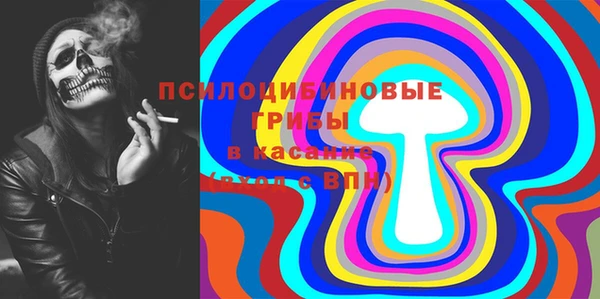 соль ск Аркадак