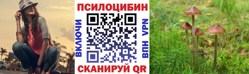 ссылка на мегу рабочий сайт  Невинномысск  Псилоцибиновые грибы GOLDEN TEACHER 
