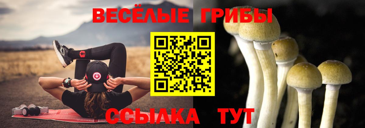 Невинномысск  Галлюциногенные грибы Psilocybe  цены наркотик  Вход с VPN 